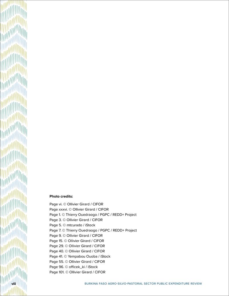 《世界银行-布基纳法索-农牧业公共支出审查（英）-2024.4-144页》 - 第8页预览图