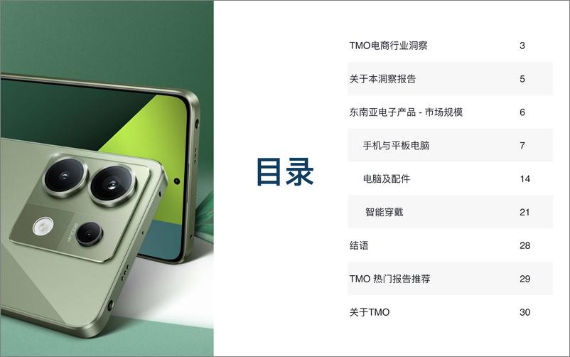 《TMO东南亚3C电子电商行业市场洞察》 - 第4页预览图