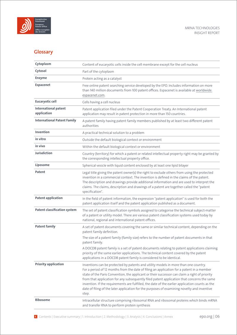 《欧洲专利局_2023年mRNA技术的洞察力报告_英文版_》 - 第6页预览图