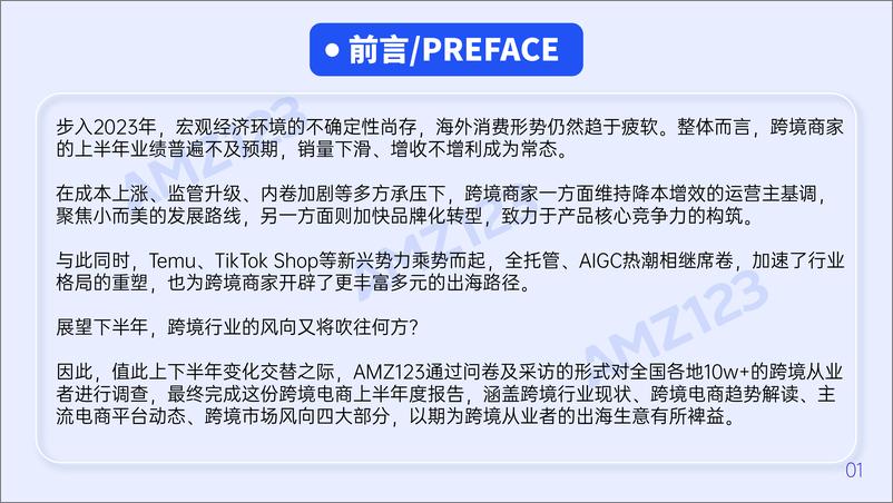 《2023上半年度跨境电商行业调研报告-亚马逊-2023-91页》 - 第4页预览图