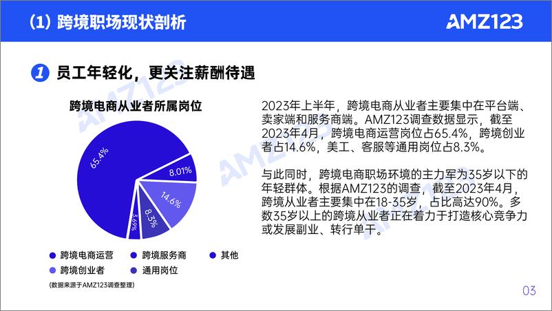 《2023上半年度跨境电商行业调研报告-亚马逊-2023-91页》 - 第6页预览图