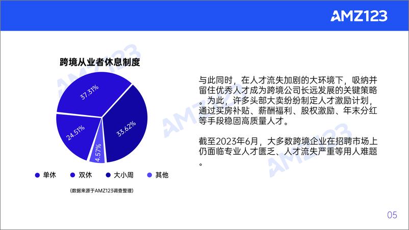 《2023上半年度跨境电商行业调研报告-亚马逊-2023-91页》 - 第8页预览图