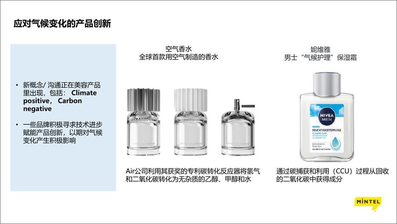 《2022化妆品：全球美妆个护未来趋势》 - 第8页预览图