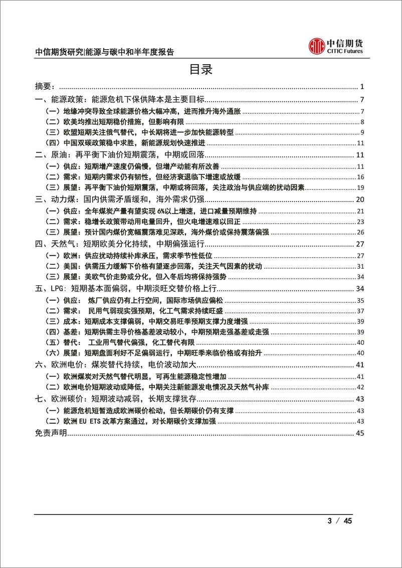 《能源与碳中和半年度报告：供应扰动频发而需求支撑犹存，全球能源价格谋定而后动-20220627-中信期货-45页》 - 第4页预览图