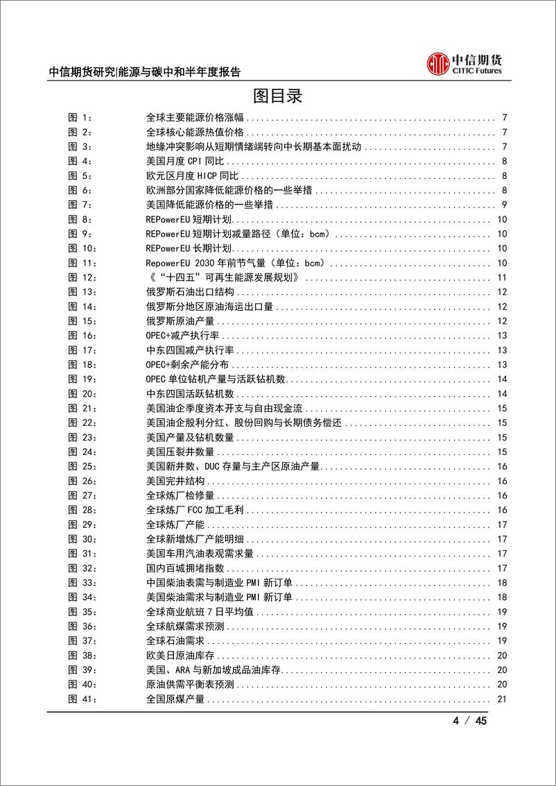 《能源与碳中和半年度报告：供应扰动频发而需求支撑犹存，全球能源价格谋定而后动-20220627-中信期货-45页》 - 第5页预览图