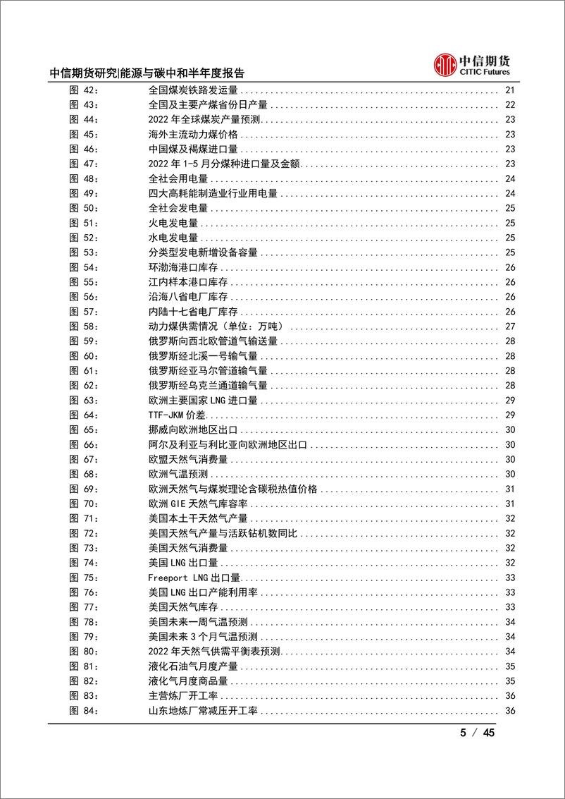 《能源与碳中和半年度报告：供应扰动频发而需求支撑犹存，全球能源价格谋定而后动-20220627-中信期货-45页》 - 第6页预览图