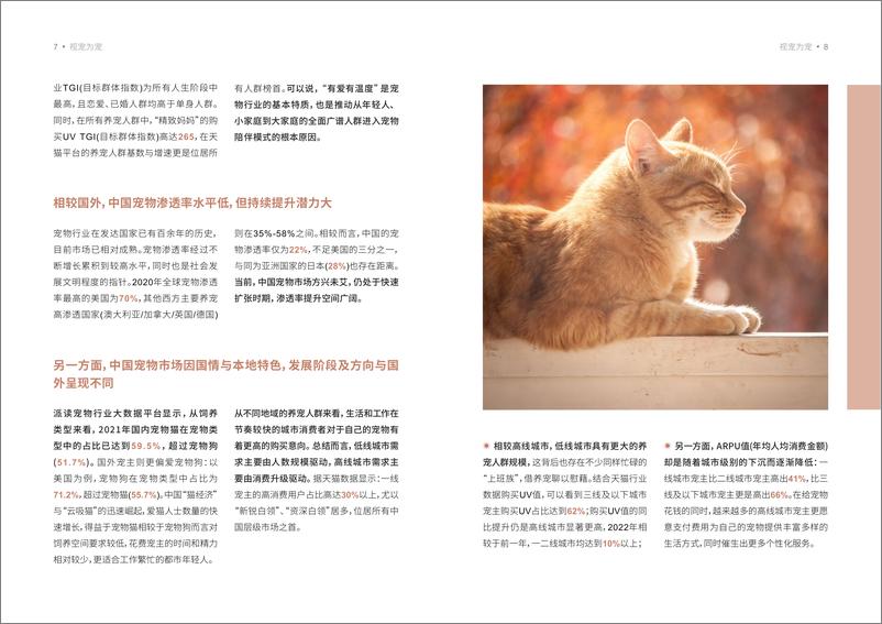 《天猫&罗兰贝格：2022 宠物品牌人群策略白皮书》 - 第4页预览图