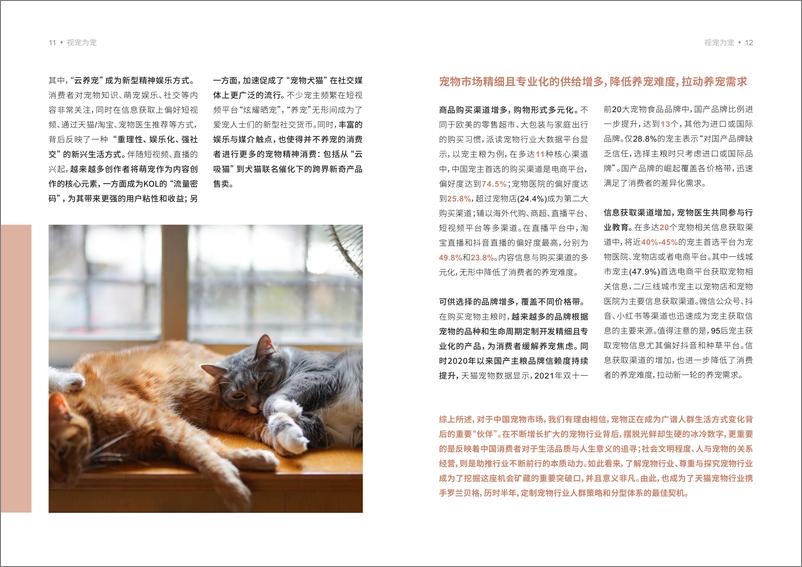 《天猫&罗兰贝格：2022 宠物品牌人群策略白皮书》 - 第6页预览图