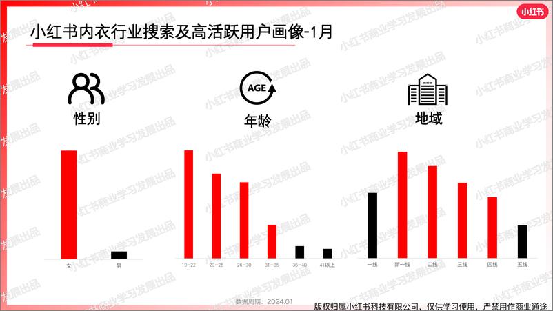 《小红书内衣行业月报（2024年1月）》 - 第4页预览图