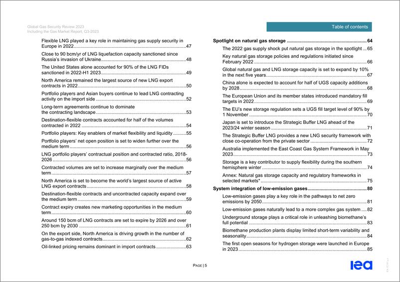 《国际能源署-2023年全球天然气安全审查（英）-2023.7-99页》 - 第6页预览图