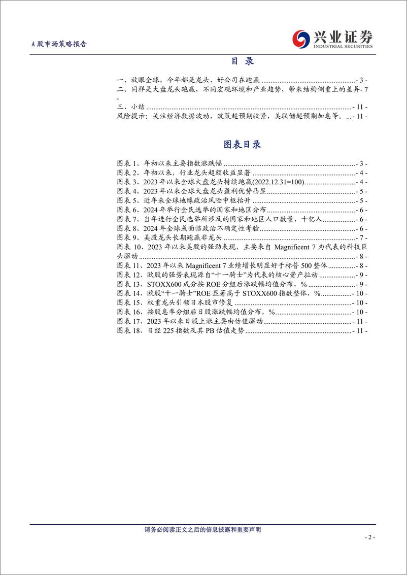 《放眼全球，都是龙头、好公司在跑赢-240615-兴业证券-12页》 - 第2页预览图