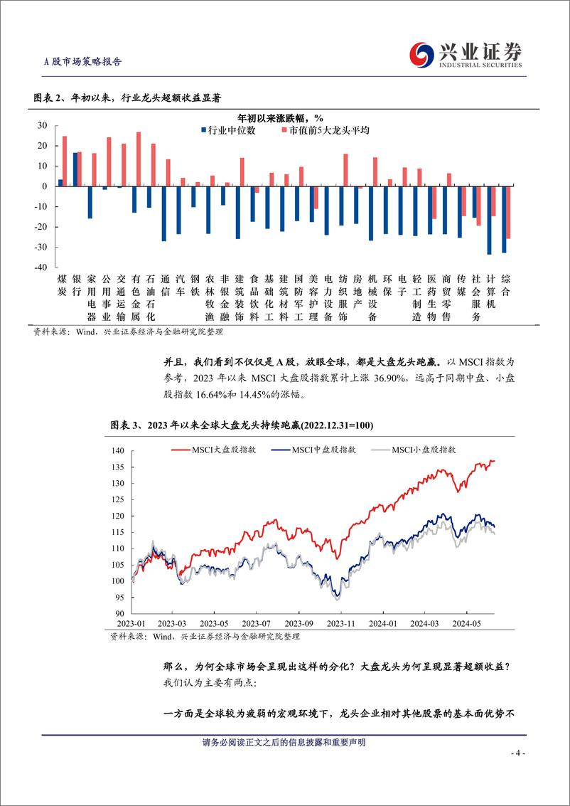 《放眼全球，都是龙头、好公司在跑赢-240615-兴业证券-12页》 - 第4页预览图