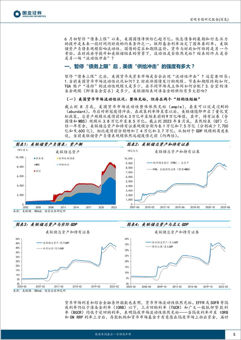 《“央行笔记”系列之五：流动性的“双重压力”，财政融资、联储缩表与流动性冲击-20230905-国金证券-30页》 - 第6页预览图