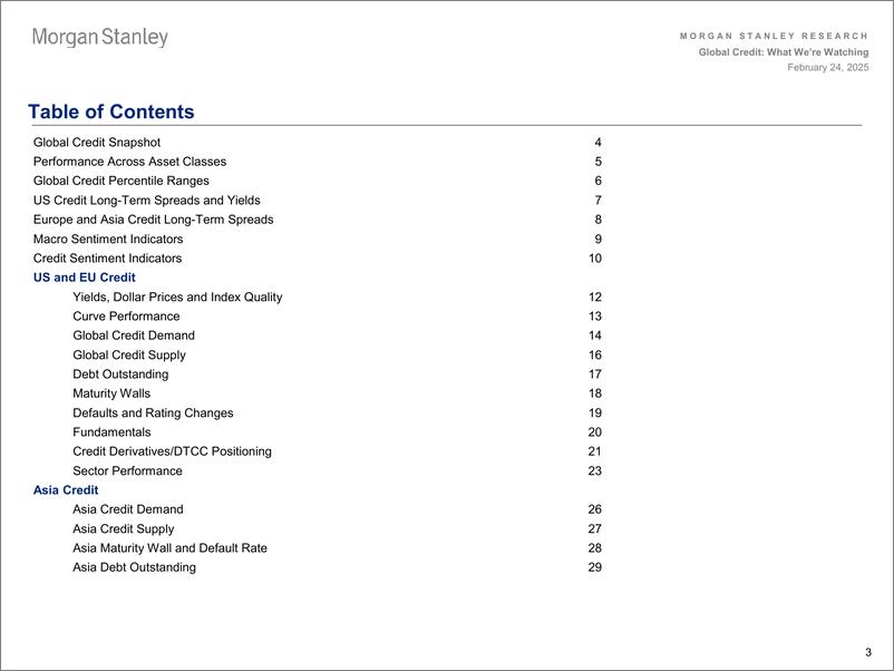 《Morgan Stanley Fixed-Global Credit Strategy What Were Watching-113686726》 - 第3页预览图
