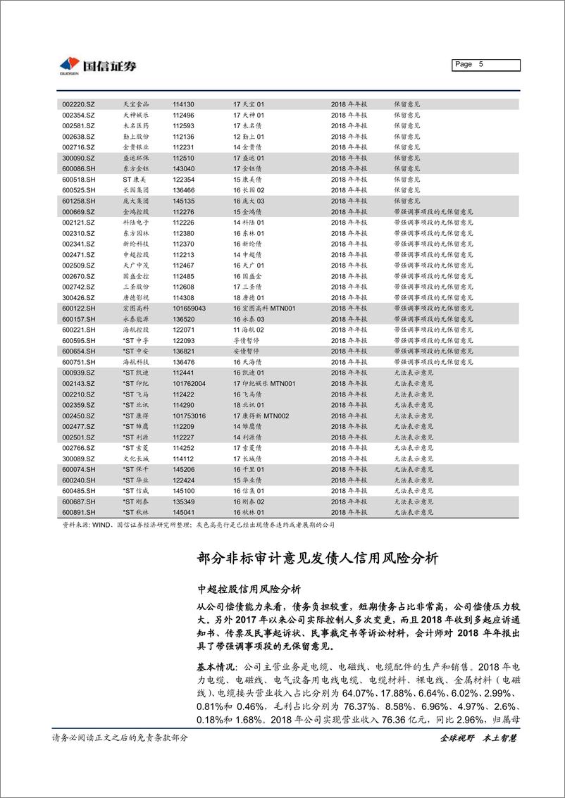 《专题报告：哪些企业曾被出具非标审计意见？-20190528-国信证券-10页》 - 第6页预览图