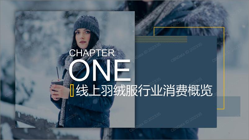 《2019线上羽绒服消费洞察报告》 - 第3页预览图