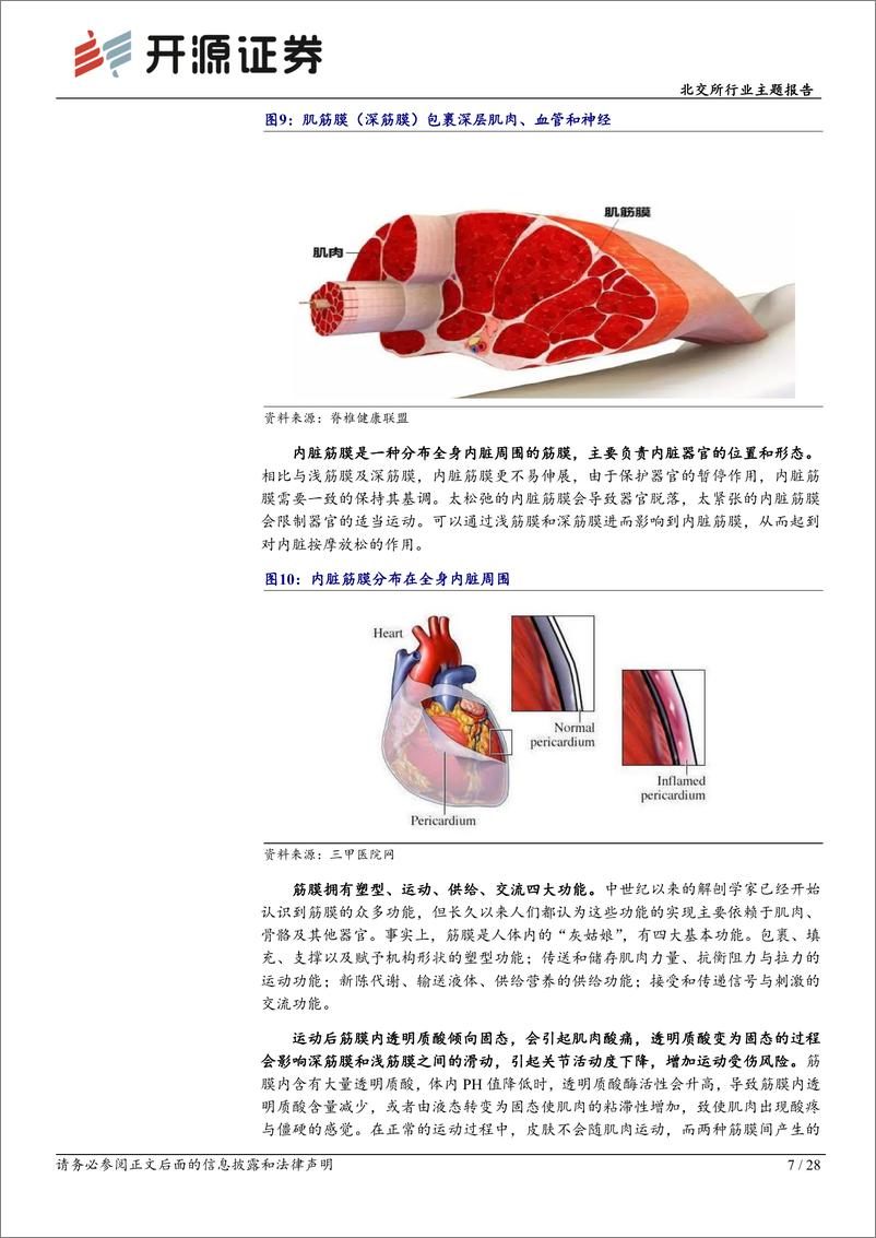 《北交所行业主题报告：“健康消费”趋势不减，筋膜枪厂商挖掘“手持消费”新场景-20221101-开源证券-28页》 - 第8页预览图