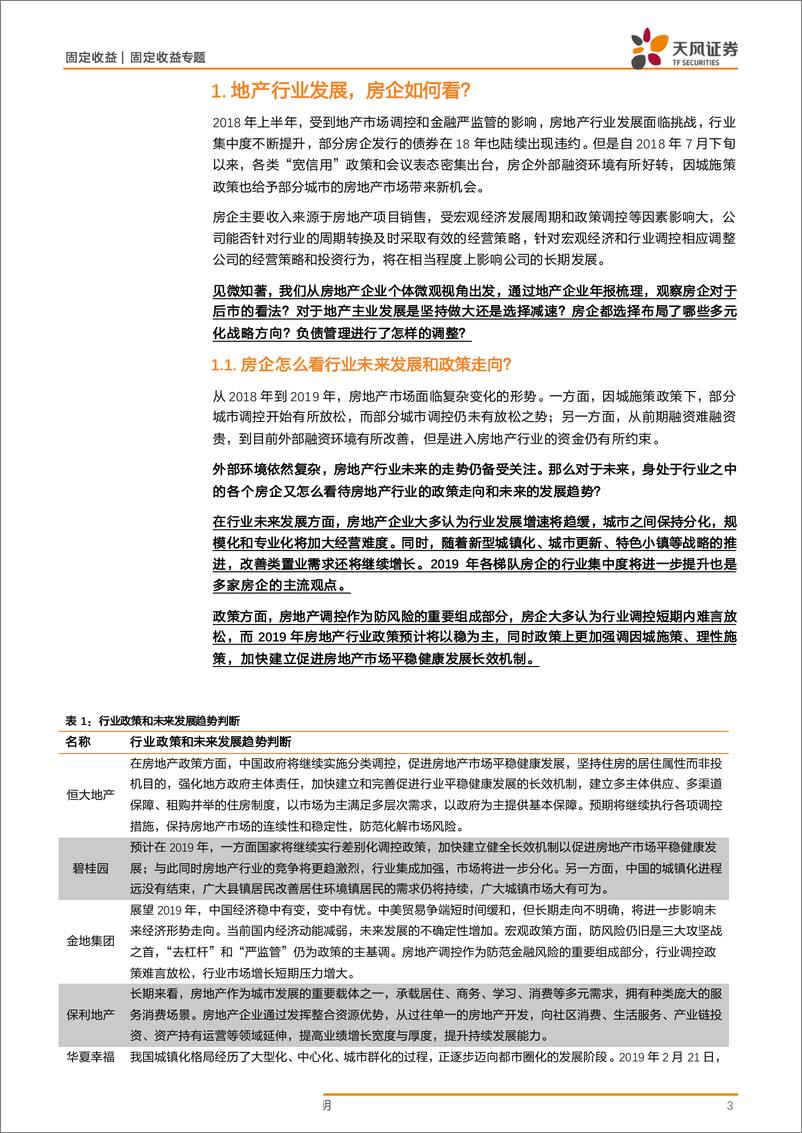 《房地产产业债专题研究：房企年报有哪些值得关注的信息？-20190522-天风证券-17页》 - 第4页预览图