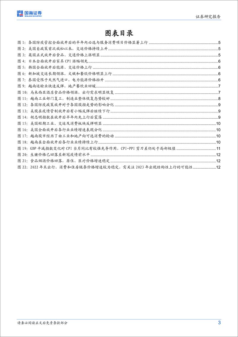 《策略专题研究报告：2023年哪些细分领域有望涨价？-20230201-国海证券-17页》 - 第4页预览图