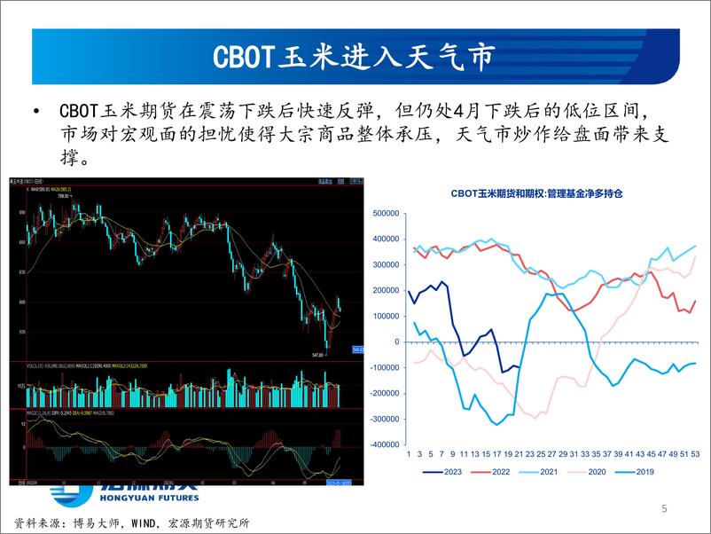 《玉米和玉米淀粉月报：小麦难以带动玉米价格走高-20230531-宏源期货-29页》 - 第6页预览图