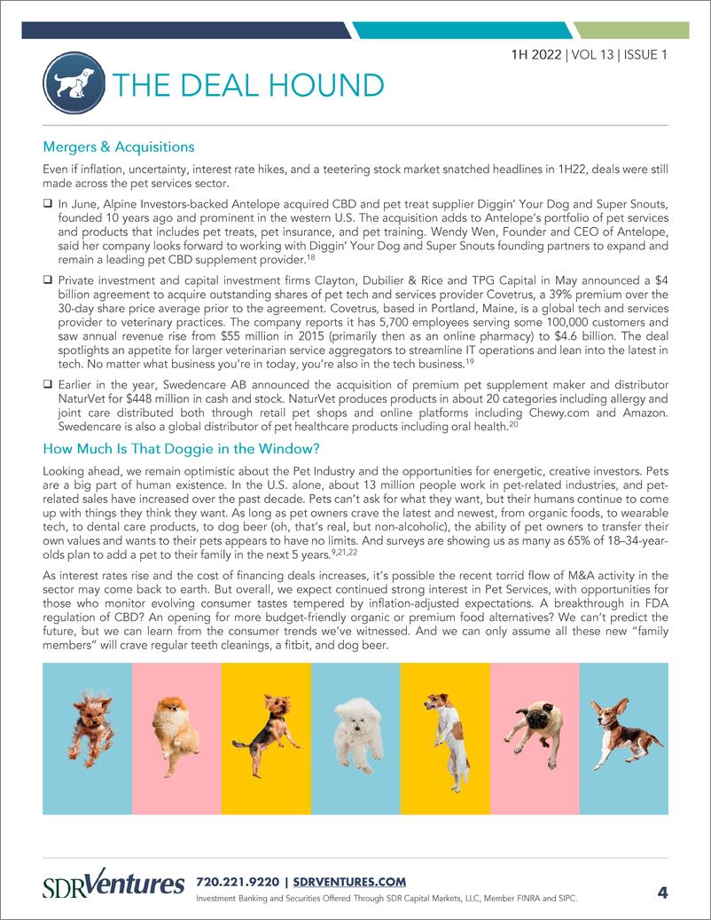《2022上半年宠物行业并购和资本市场报告（英）-12页》 - 第5页预览图