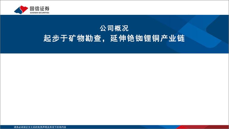 《中矿资源(002738)锂矿山持续降本，多元化布局逐步形成-241119-国信证券-32页》 - 第2页预览图