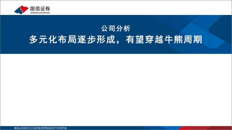 《中矿资源(002738)锂矿山持续降本，多元化布局逐步形成-241119-国信证券-32页》 - 第6页预览图