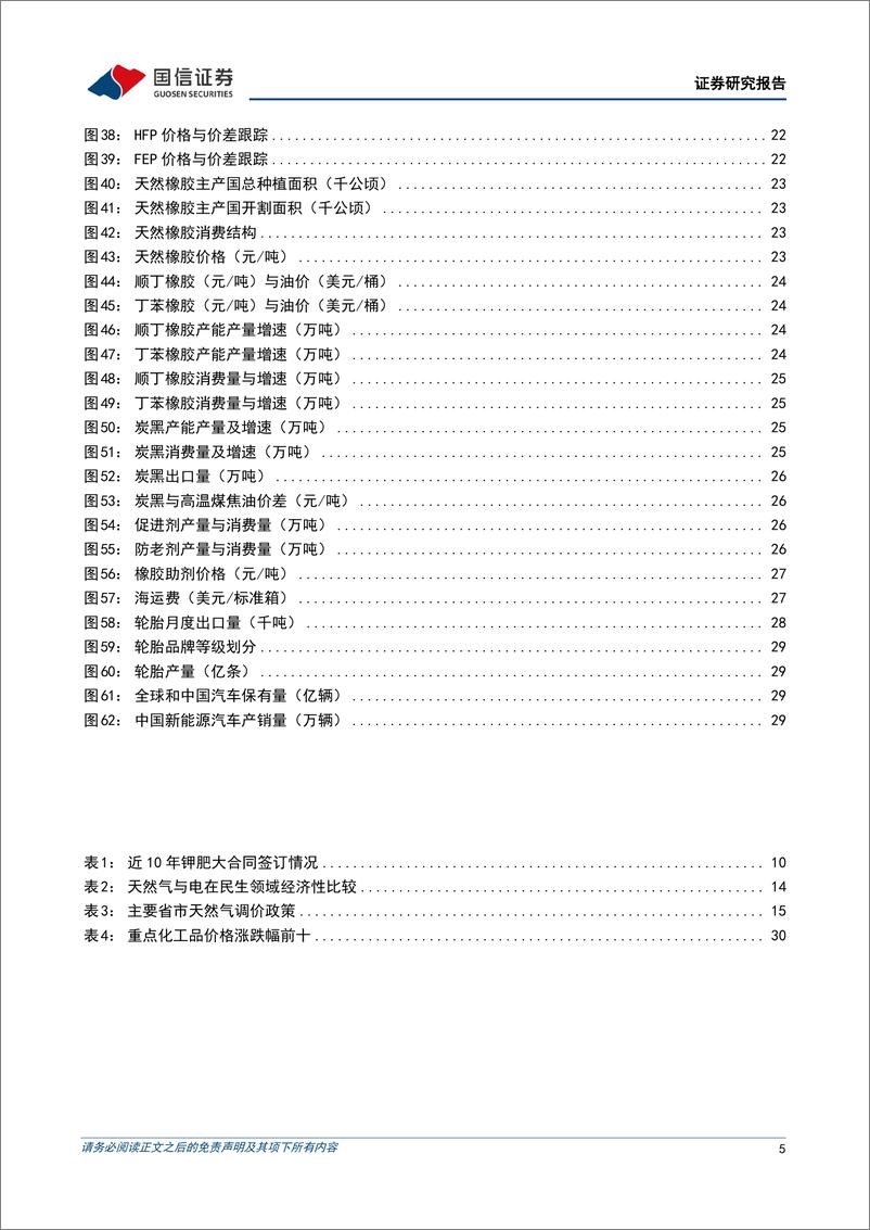 《化工行业2023年8月投资策略：看好钾肥、天然气顺价、生物柴油、制冷剂、轮胎的投资方向-20230731-国信证券-33页》 - 第6页预览图