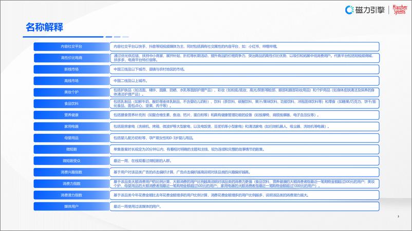 《2024企业营销战略研究报告》 - 第3页预览图