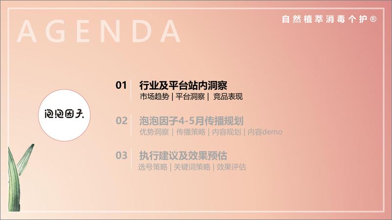 《个人洗护用品品牌小红书种草营销方案【个护】》 - 第3页预览图