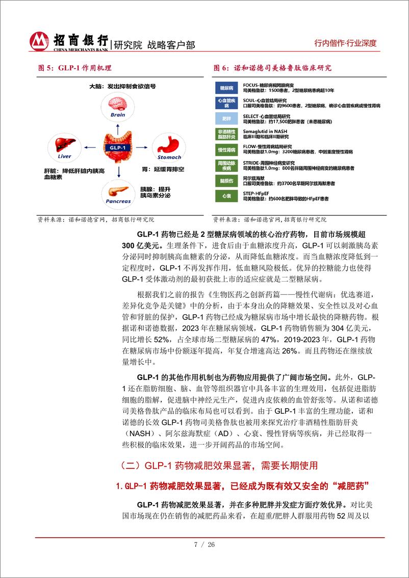 《生物医药行业之减肥药：全球市场需求爆发，紧抓GLP-1产业链机遇-240821-招商银行-28页》 - 第8页预览图