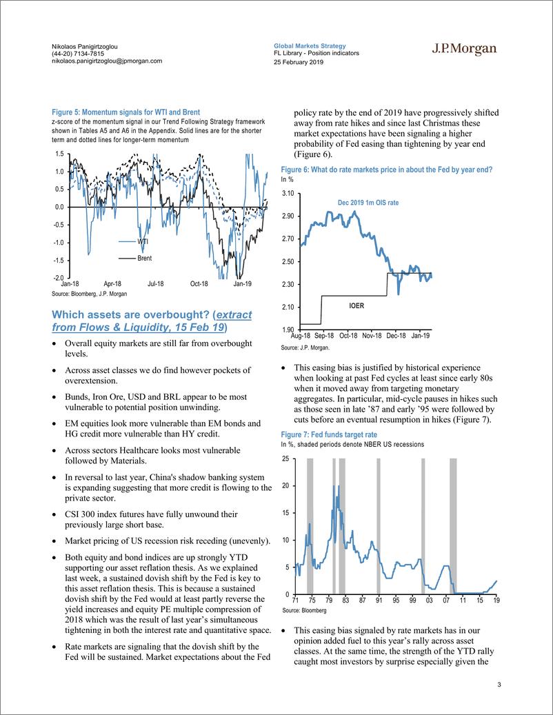 《J.P. 摩根-全球-投资策略-流量与流动性：定位指标-2019.2.25-180页》 - 第4页预览图