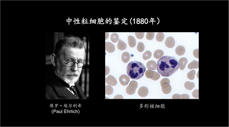 《黄来源_为什么要关注中性粒细胞研究》 - 第2页预览图