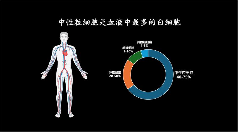 《黄来源_为什么要关注中性粒细胞研究》 - 第3页预览图