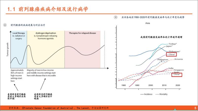 《平安证券-前列腺癌用药全景图_AR抑制剂促进用药结构改善_核医学等新型疗法不断涌现》 - 第6页预览图