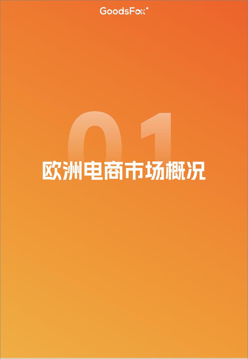 《GoodsFox｜2025年欧洲市场营销洞察报告》-27页 - 第3页预览图