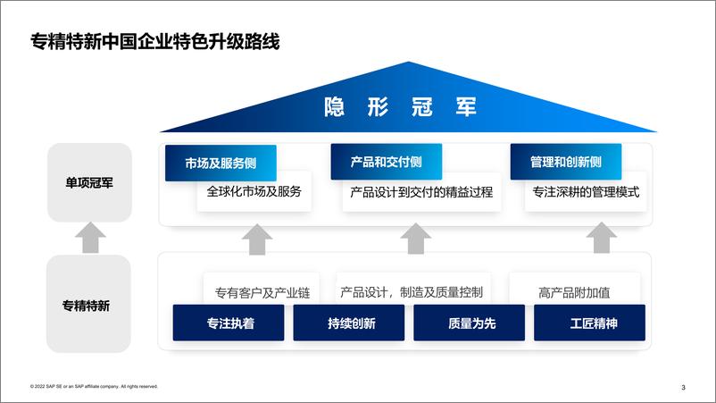 《SAP+专精特新+壮志凌云——设计到交付专题（中文）》 - 第4页预览图