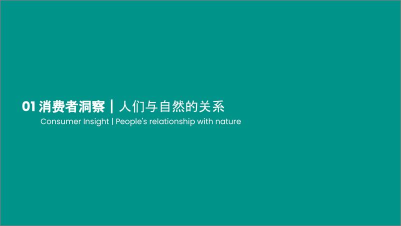 《2024国际户外露营品牌营销定位方案【品牌定位】【品牌视觉】【品牌沟通框架】》 - 第3页预览图