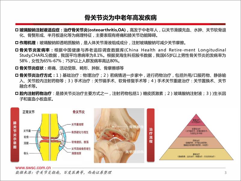 《骨科药品之丁甘交联玻璃酸钠注射液》 - 第4页预览图