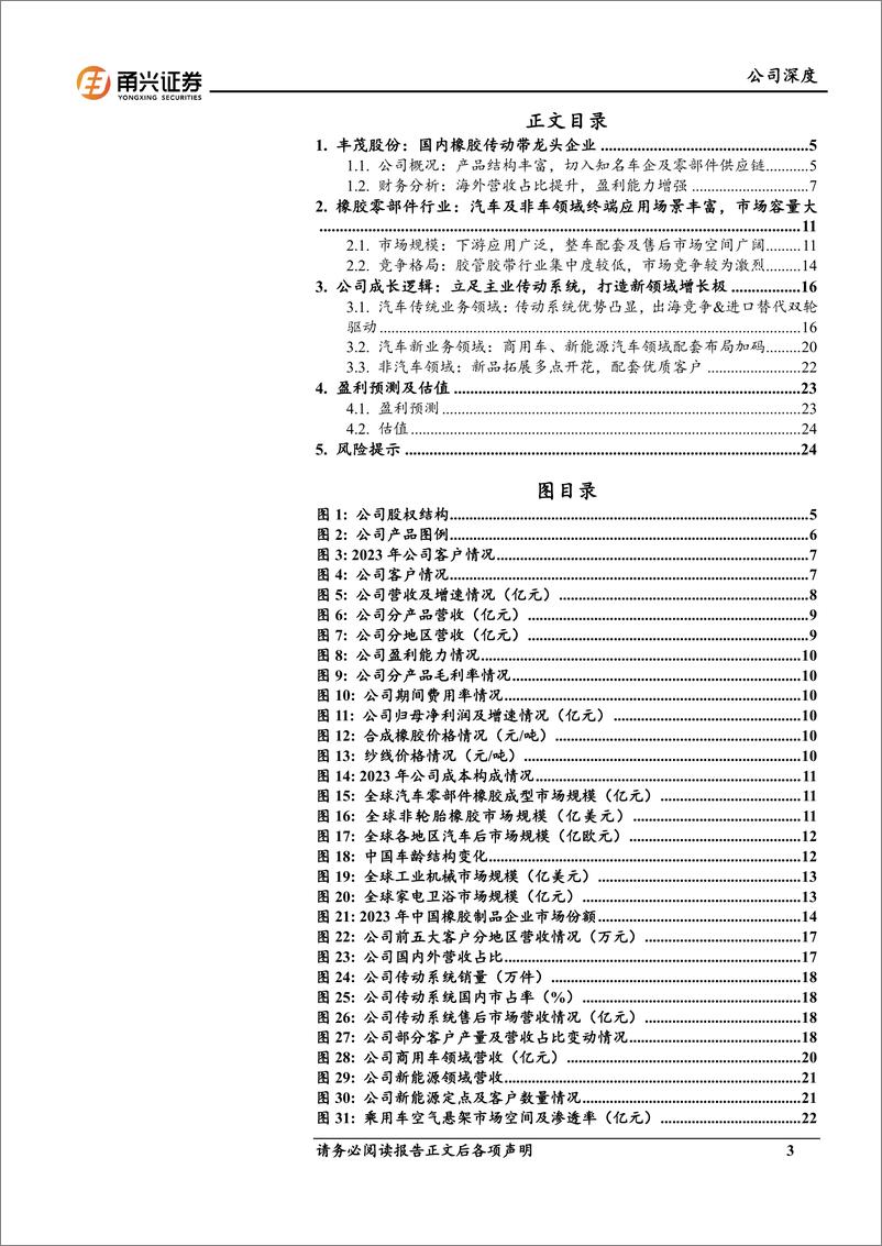 《丰茂股份(301459)首次覆盖深度报告：加快出海步伐，新领域拓展可期-241114-甬兴证券-27页》 - 第3页预览图