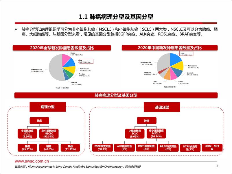 《创新药专题：ADC和双抗领衔EGFR敏感突变三代TKIs耐药后和1L NSCLC，20ins小分子竞争激烈》 - 第4页预览图