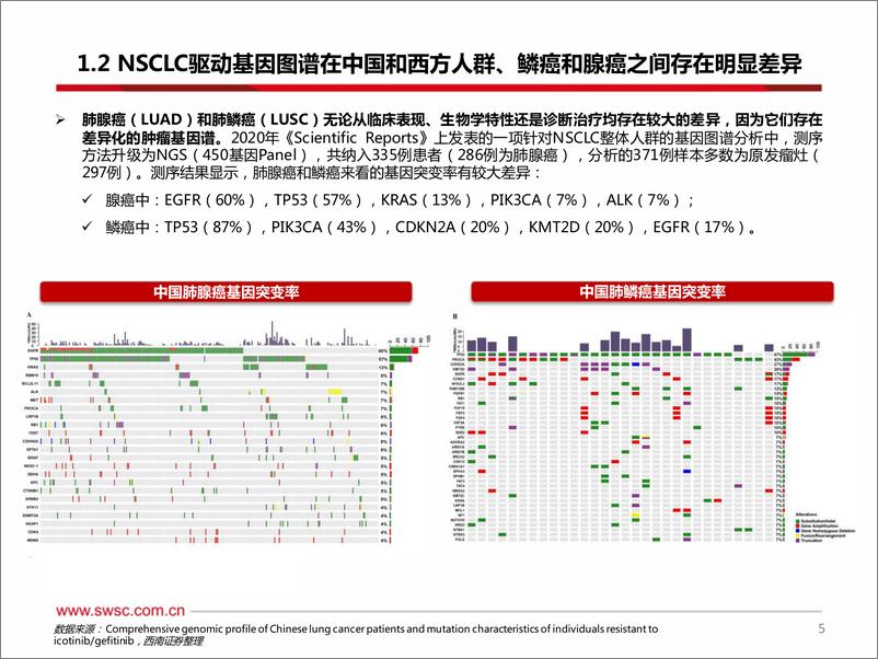 《创新药专题：ADC和双抗领衔EGFR敏感突变三代TKIs耐药后和1L NSCLC，20ins小分子竞争激烈》 - 第6页预览图