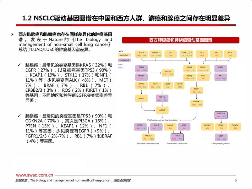 《创新药专题：ADC和双抗领衔EGFR敏感突变三代TKIs耐药后和1L NSCLC，20ins小分子竞争激烈》 - 第7页预览图