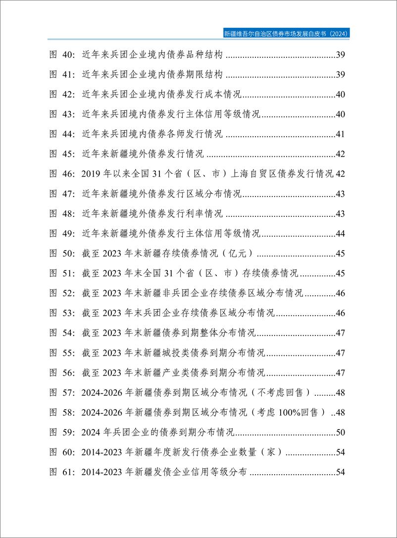 《2024新疆维吾尔自治区债券市场发展白皮书-78页》 - 第8页预览图