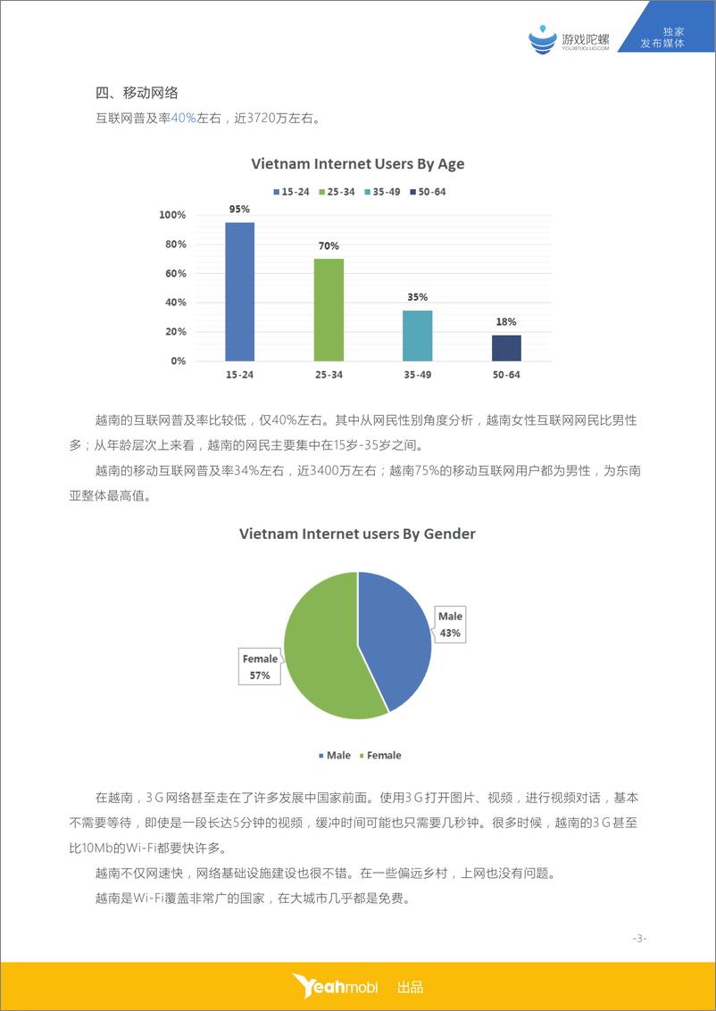 《全球移动互联网市场数据大揭密系列之（越南篇）》 - 第5页预览图