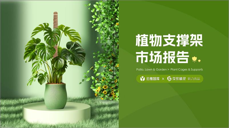 《2024植物支撑架市场分析报告-云雅智库&卖家精灵》 - 第1页预览图