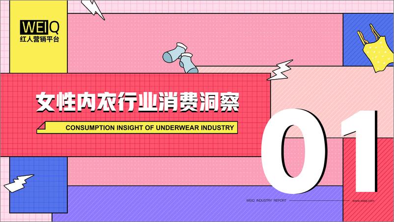 《【WEIQ报告】2022女性内衣行业营销报告-25页》 - 第5页预览图