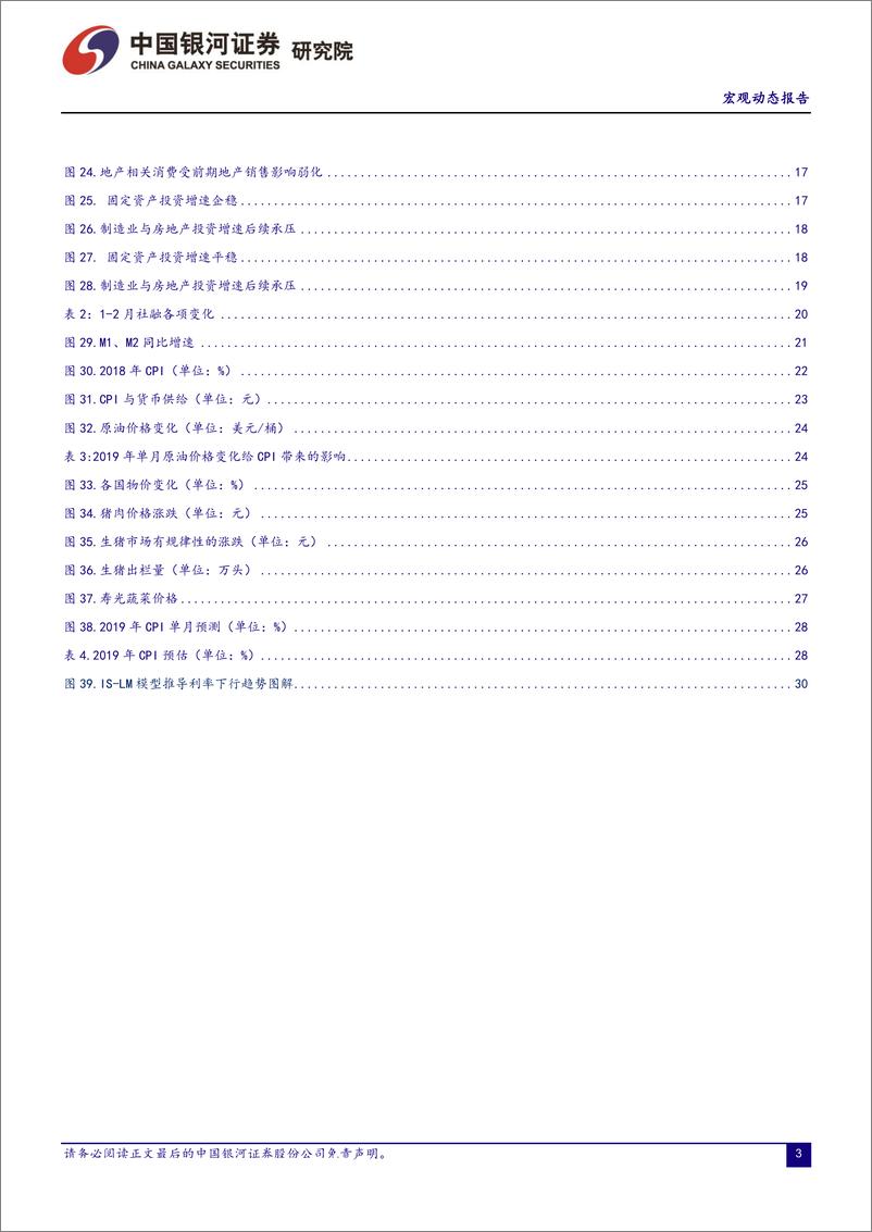 《中国银河宏观研究宏观经济动态报告第1期：稳定增长深化改革，预期与资产价格修复之年-20190329-银河证券-34页》 - 第4页预览图