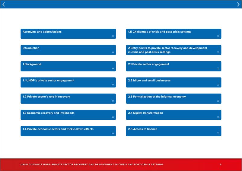 《UNDP-危机和危机后环境中的私营部门复苏与发展（英）-2023-74页》 - 第4页预览图