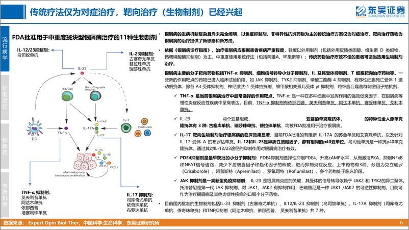 《创新药疾病透视系列行业研究第六期：银屑病治疗中创新药的竞争格局分析-20221101-东吴证券-51页》 - 第7页预览图